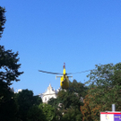 IMG_1013.JPG