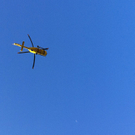 IMG_1016.JPG