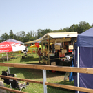 IMG_6825.JPG