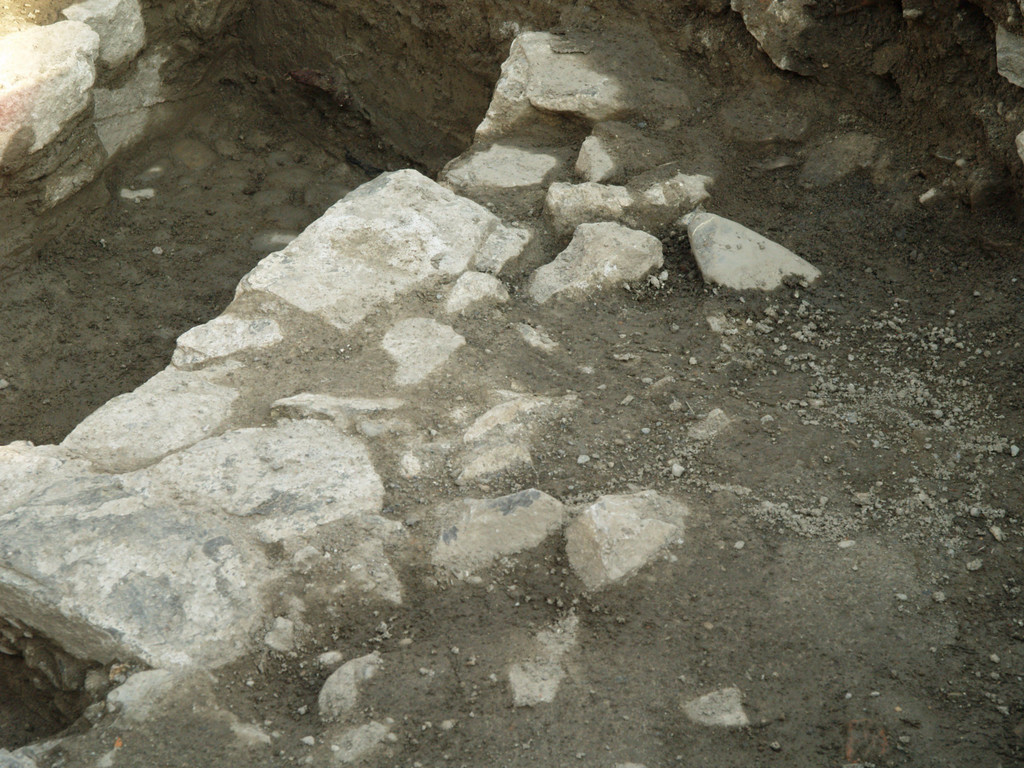 P8195936.jpg