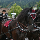 DSC04716.JPG