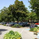 normal_22082011fmt_schwimmbad_mw_015.jpg