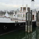 IMG_7321.jpg