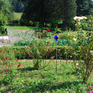 gwiggen_blumen01_jpg-1314101984