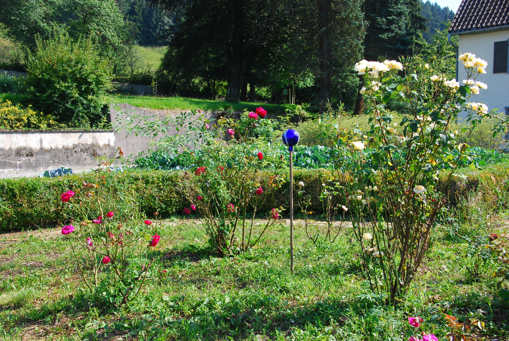 gwiggen_blumen01_jpg-1314101984