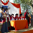 normal_20082011ritterfestwaxenbergmmaktivnews__15_.jpg