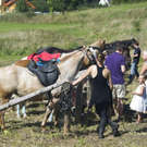normal_20082011ritterfestwaxenbergmmaktivnews__31_.jpg