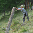 ALM_DSC_8011.JPG