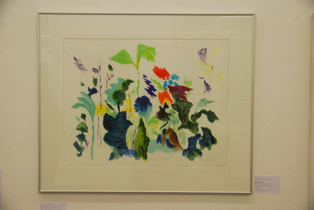 DSC_1522_jpg-1314116813