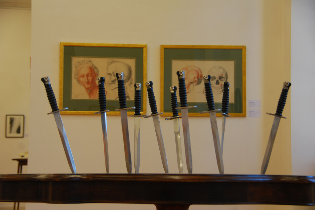 DSC_1537_jpg-1314116991