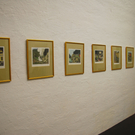 DSC_1571_jpg-1314117295