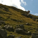 KOE_Schmugglerland Schafberg 16_jpg-1314132455