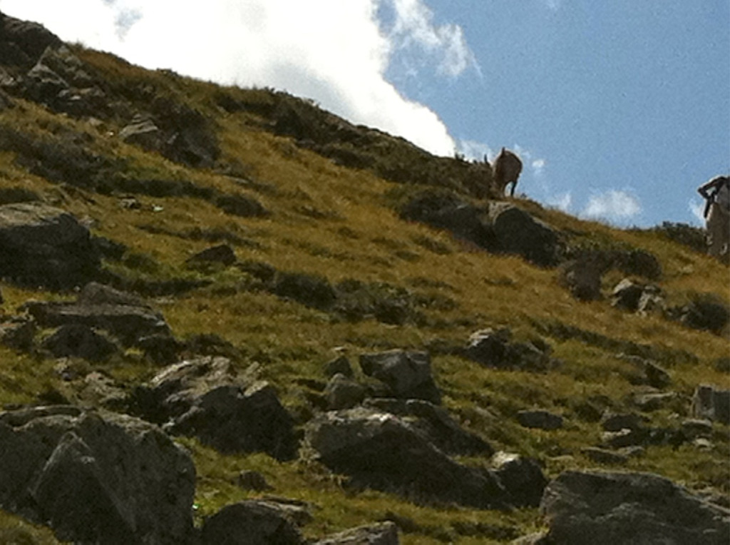 KOE_Schmugglerland Schafberg 16_jpg-1314132455