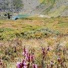 KOE_Schmugglerland Schafberg 37_jpg-1314132655