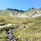 KOE_Schmugglerland Schafberg 40_jpg-1314132684