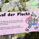 KOE_Schmugglerland Schafberg 44_jpg-1314132728