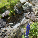 KOE_Schmugglerland Schafberg 54_jpg-1314132824