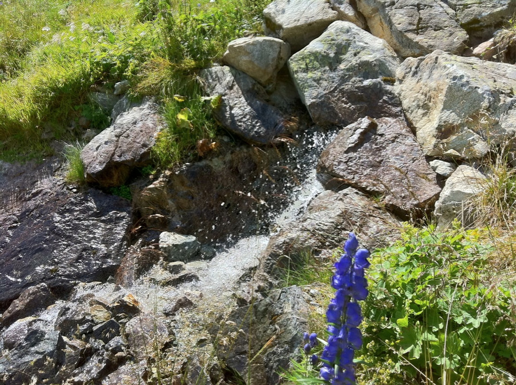 KOE_Schmugglerland Schafberg 54_jpg-1314132824
