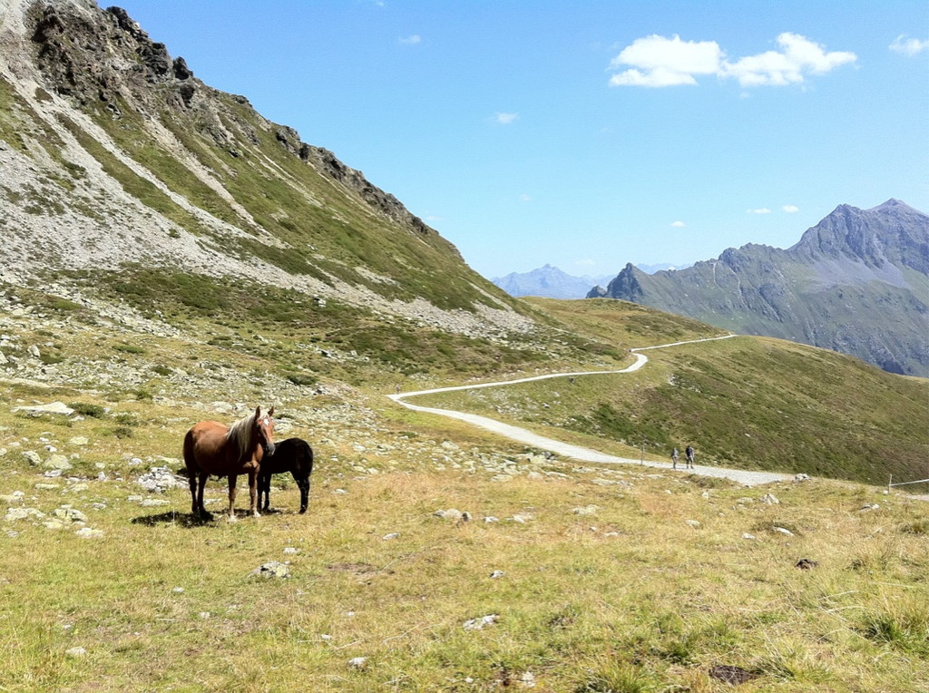 KOE_Schmugglerland Schafberg 55_jpg-1314132834