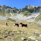 KOE_Schmugglerland Schafberg 56_jpg-1314132844