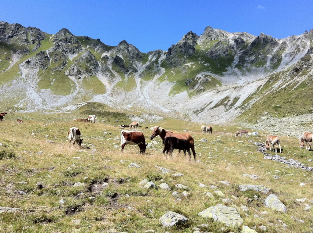KOE_Schmugglerland Schafberg 56_jpg-1314132844