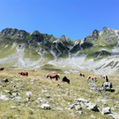 KOE_Schmugglerland Schafberg 57_jpg-1314132853