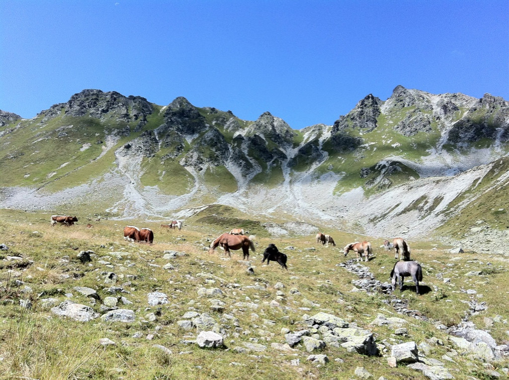 KOE_Schmugglerland Schafberg 57_jpg-1314132853