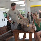 normal_24082011tramprenenffaktivnews_28.jpg