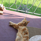 Bono4_jpg-1314259449