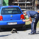 Explosion Latens3.jpg