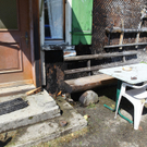 Explosion Latens14.jpg