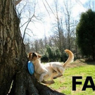 epic_fails_2_10.jpg