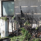 normal_25082011brandsbgffaktivnews_53.jpg
