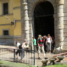normal_25082011fmt_wasserspiele_mw_016.jpg