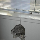 epic_fails_2_53.jpg