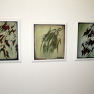 112_3313_JPG-1314309025