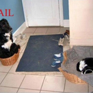 epic_fails_2_57.jpg