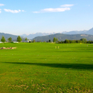 BK_golfplatz_rankweil 11_jpg-1314310827