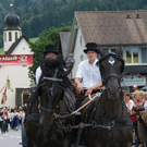 DSC04763.JPG