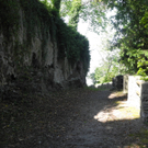 DSCN7511_JPG-1314344338