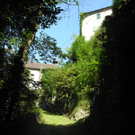 DSCN7528_JPG-1314344390