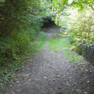 DSCN7527_JPG-1314344378