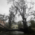 DAB1221-20110825.jpg