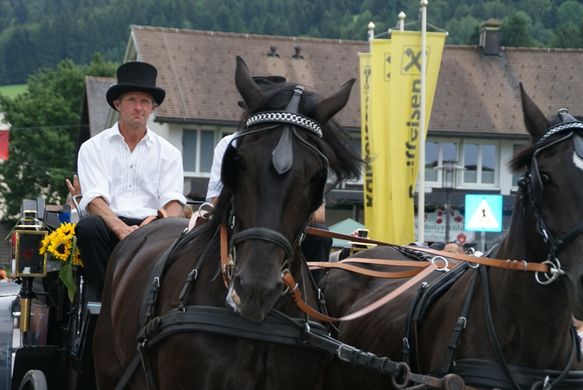 DSC04764.JPG