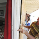 DAB2342-20110825.jpg