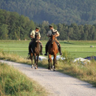 normal_25082011chiemseereggae1nmaktivnews__15_.jpg