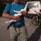 Ryan der Soldatenkater 2.jpg