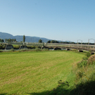 DSC_1914.JPG