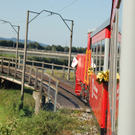 DSC_1916.JPG