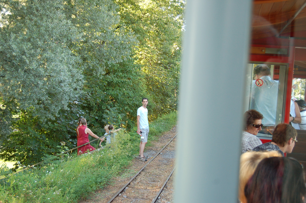 DSC_1950.JPG
